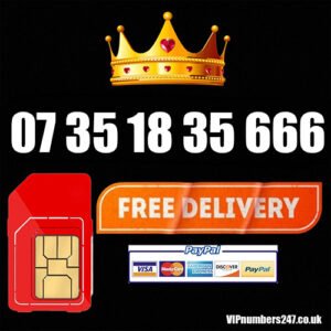 07 35 18 35 666