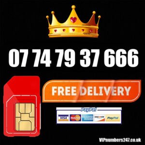 07 74 79 37 666