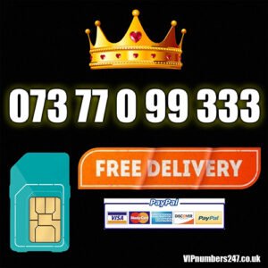 073 77 0 99 333