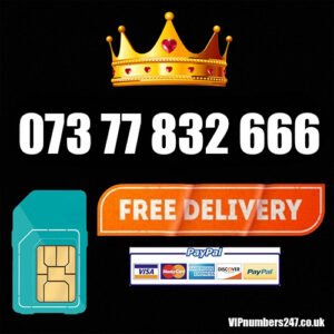 073 77 832 666