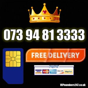 073 94 81 3333