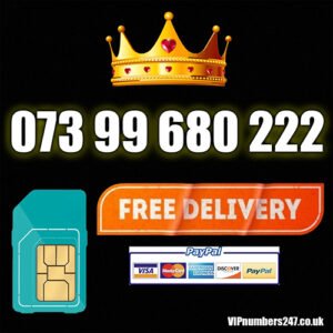 073 99 680 222
