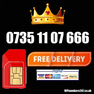 0735 11 07 666