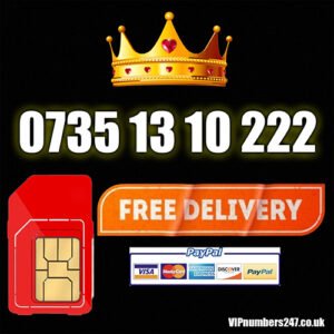 0735 13 10 222