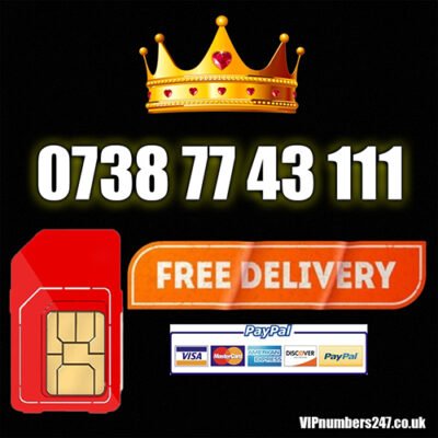 0738 77 43 111