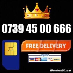 0739 45 00 666