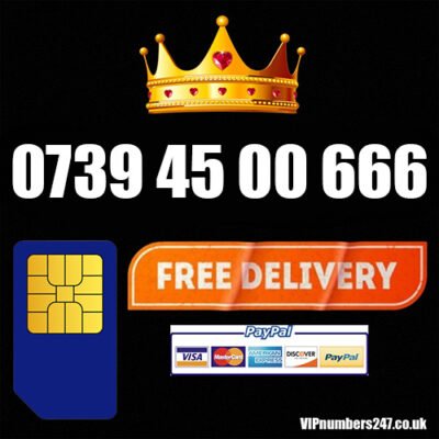0739 45 00 666