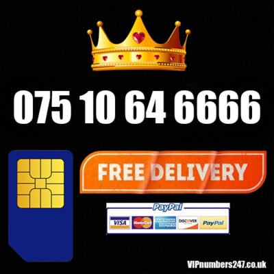 075 10 64 6666