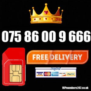 075 86 00 9 666