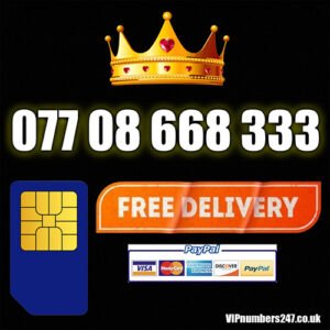 077 08 668 333