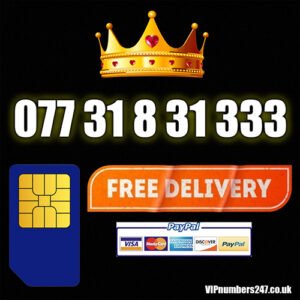 077 31 8 31 333