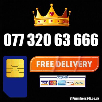 077 320 63 666