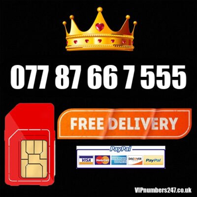 077 87 66 7 555