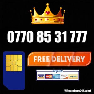 0770 85 31 777