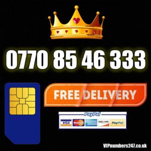 0770 85 46 333