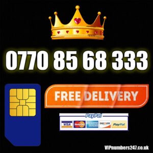 0770 85 68 333