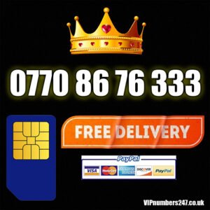0770 86 76 333