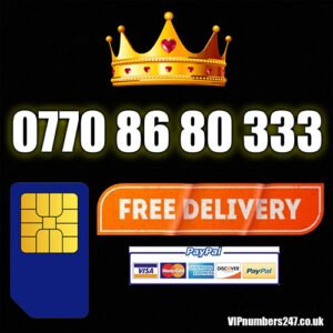 0770 86 80 333
