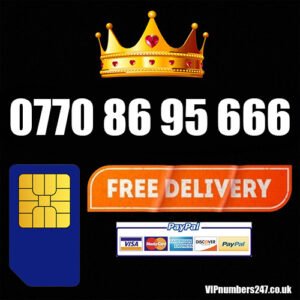0770 86 95 666