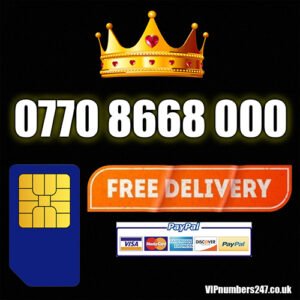 0770 8668 000