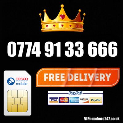 0774 91 33 666