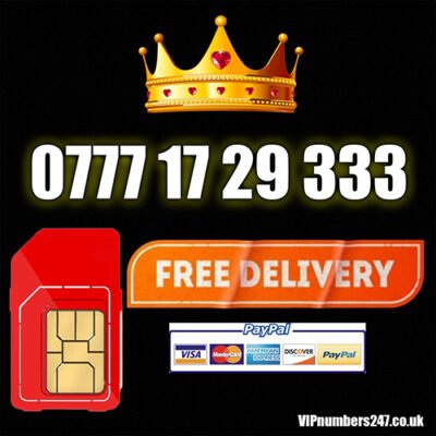 0777 17 29 333