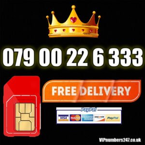 079 00 22 6 333