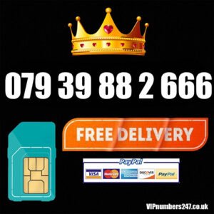 079 39 88 2 666