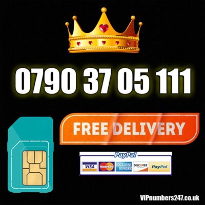 0790 37 05 111