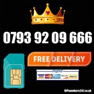 0793 92 09 666