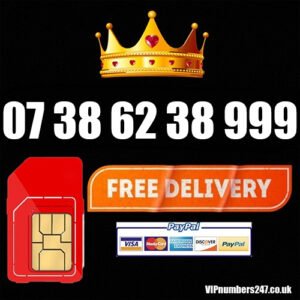 07 38 62 38 999