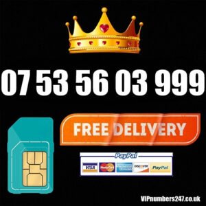 07 53 56 03 999
