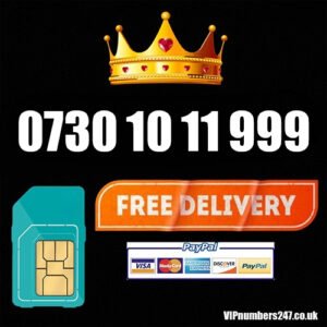 0730 10 11 999