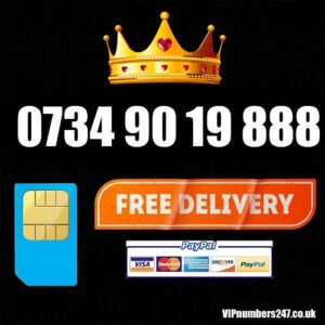 0734 90 19 888