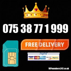 075 38 77 1 999