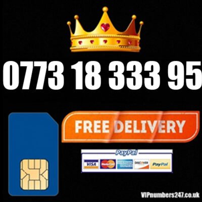 0773 18 333 95