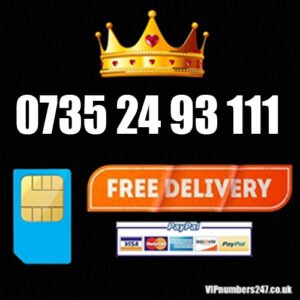 0735 24 93 111