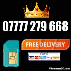 07777 279 668