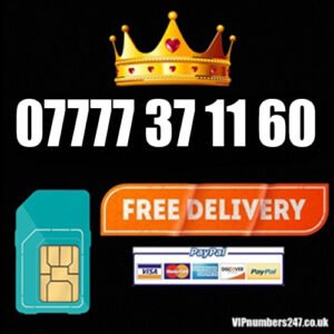 07777 37 11 60