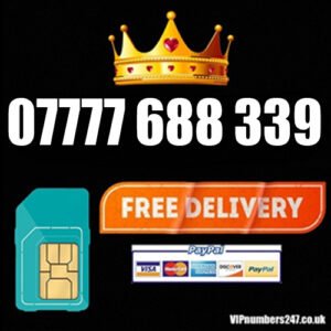 07777 688 339