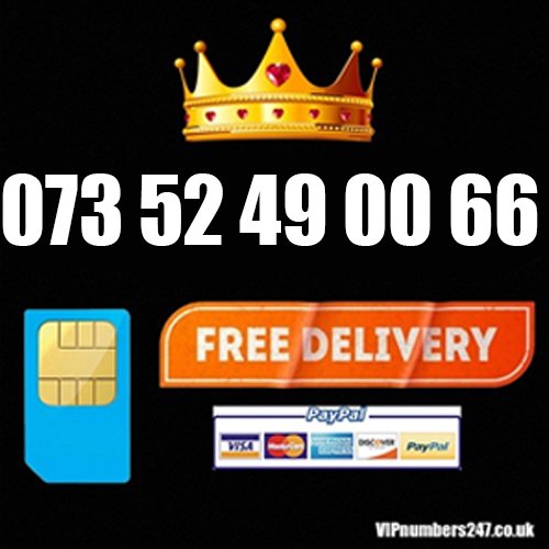 073 52 49 00 66 073 52 49 00 66