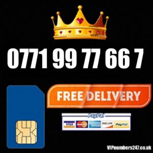 0771 99 77 66 7
