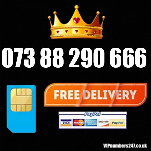 073 88 290 666 073 88 290 666