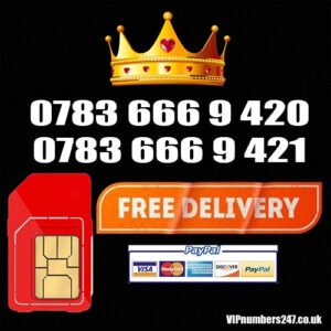 2 x Platinum Numbers for Business /His & Her HH-1