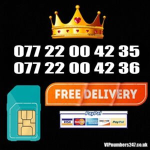 2 x Platinum Numbers for Business /His & Her HH-3