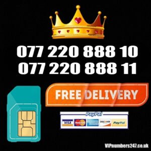 2 x Platinum Numbers for Business /His & Her HH-4