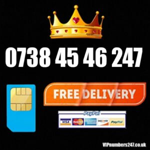 0738 45 46 247