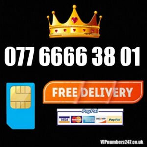 077 6666 38 01