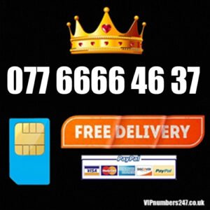 077 6666 46 37