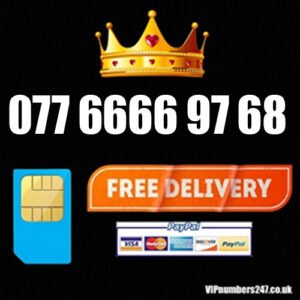 077 6666 97 68